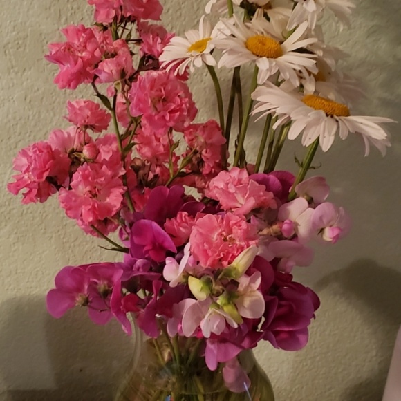 Meet your Posher, Bev - Picture 3 of 11